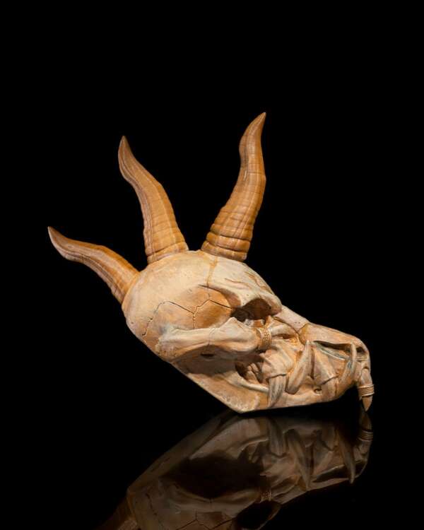 Black Dragon Skull - imagine 7