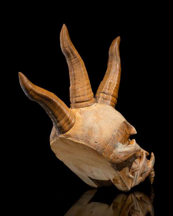 Black Dragon Skull - imagine 9