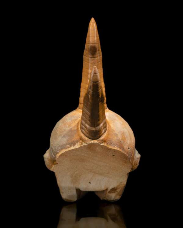Black Dragon Skull - imagine 10