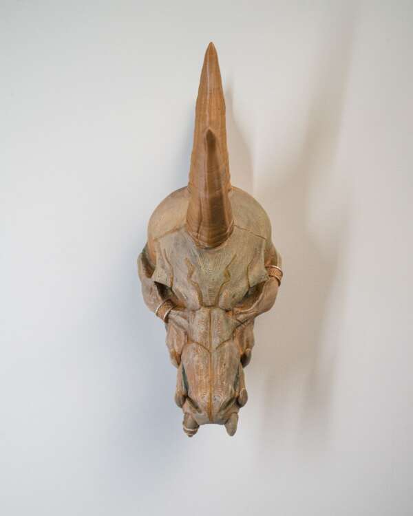 Black Dragon Skull - imagine 11