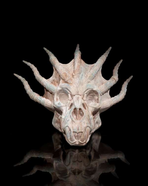 Blue Dragon Skull - imagine 3