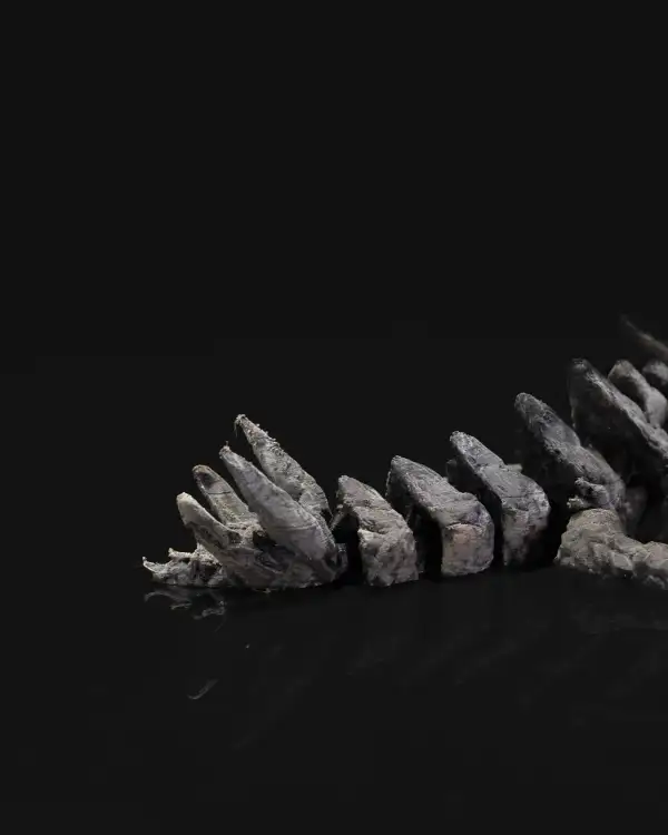 Stone Baby Dragon - imagine 5