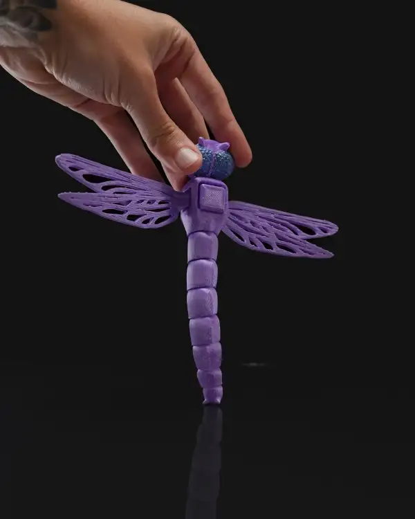 DragonFlying - imagine 5