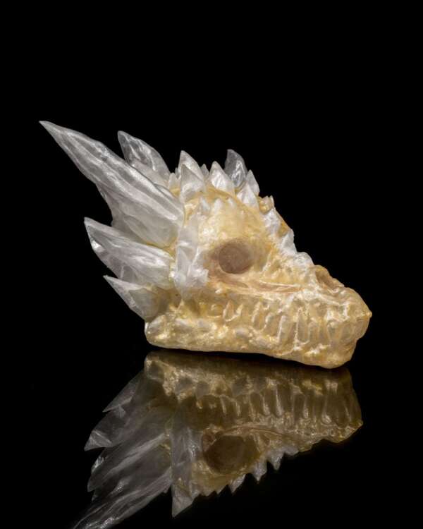 Diamond Dragon Skull - imagine 7