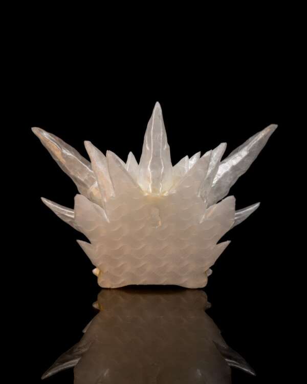 Diamond Dragon Skull - imagine 10