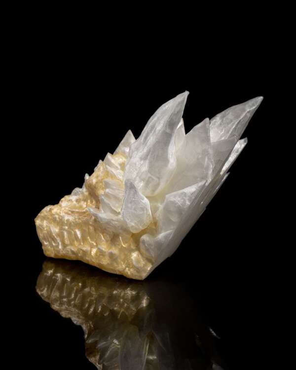Diamond Dragon Skull - imagine 11