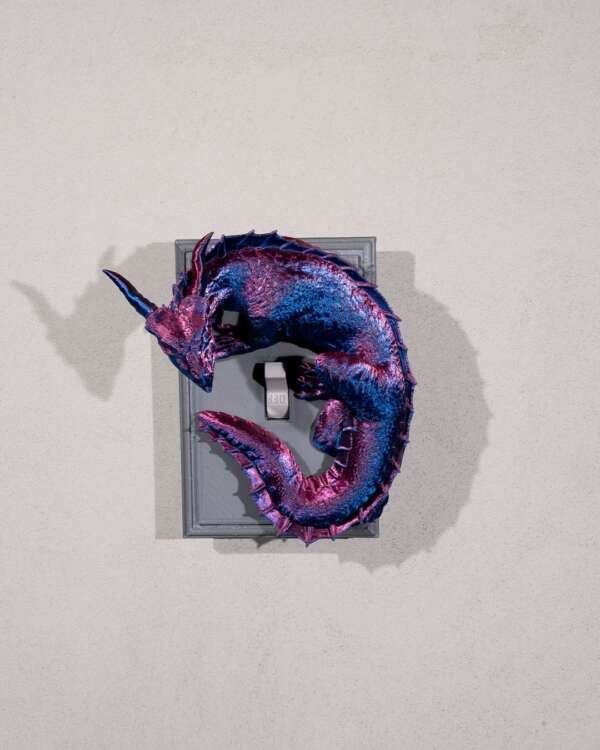 Dragon Warden Light Switch Cover
