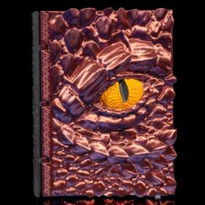 Dragon’s Spellbook
