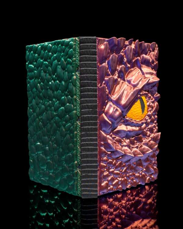 Dragon’s Spellbook - imagine 5