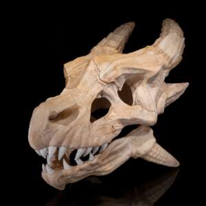 Epic Red Dragon Skull