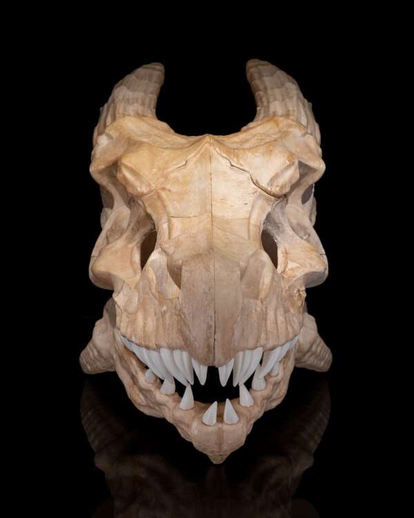 Epic Red Dragon Skull – proiect STL 3D - imagine 3