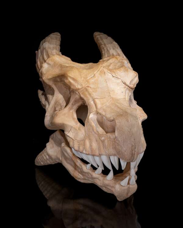 Epic Red Dragon Skull – proiect STL 3D - imagine 5