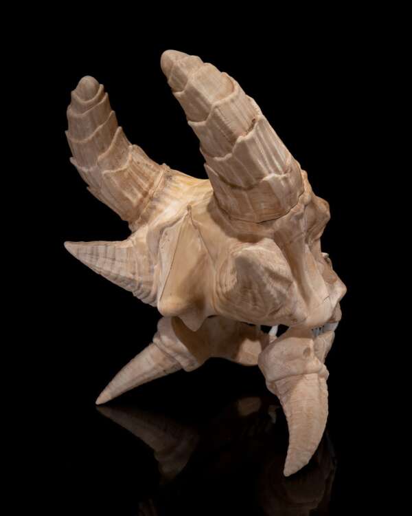 Epic Red Dragon Skull – proiect STL 3D - imagine 6