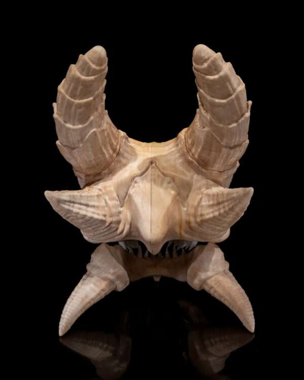 Epic Red Dragon Skull – proiect STL 3D - imagine 7