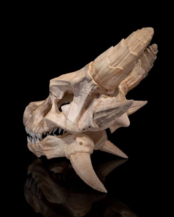 Epic Red Dragon Skull – proiect STL 3D - imagine 8