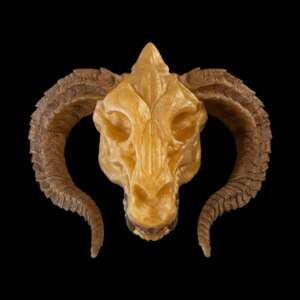 Gold Dragon Skull