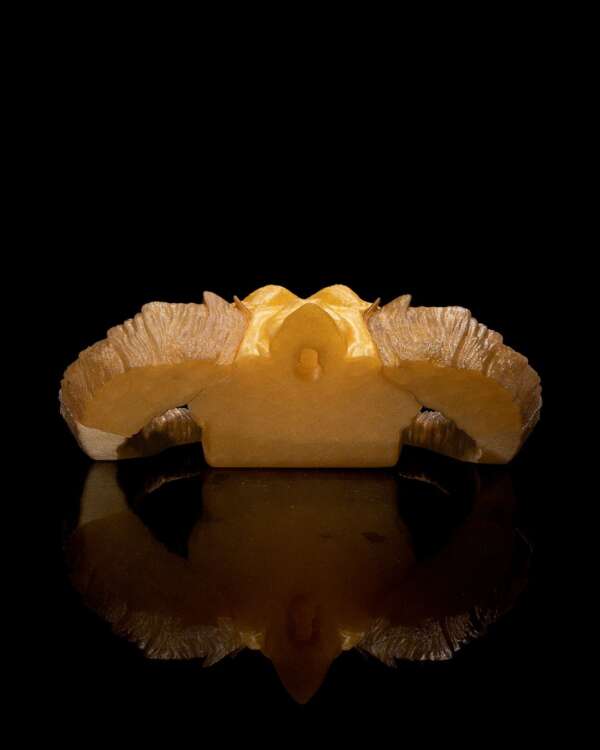 Gold Dragon Skull – proiect STL 3D - imagine 9