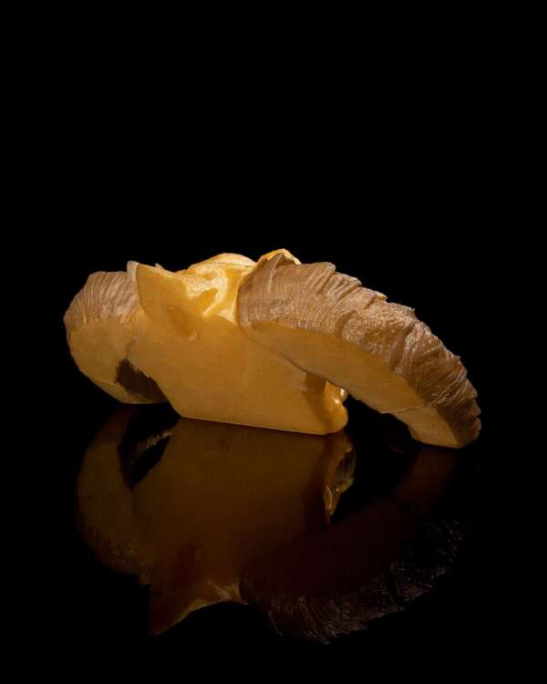 Gold Dragon Skull – proiect STL 3D - imagine 10