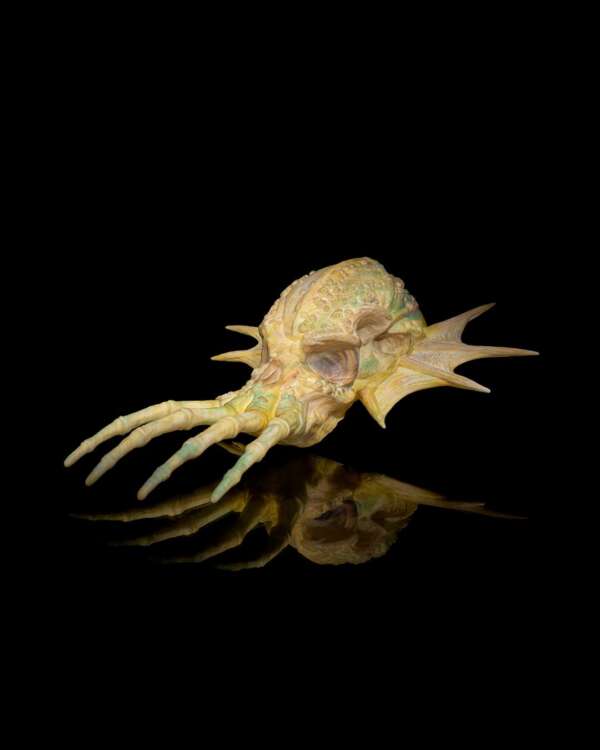 Green Dragon Skull – proiect STL 3D - imagine 6
