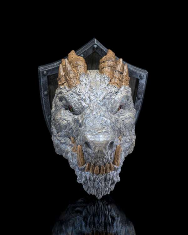 Polar Dragon Trophy - imagine 2