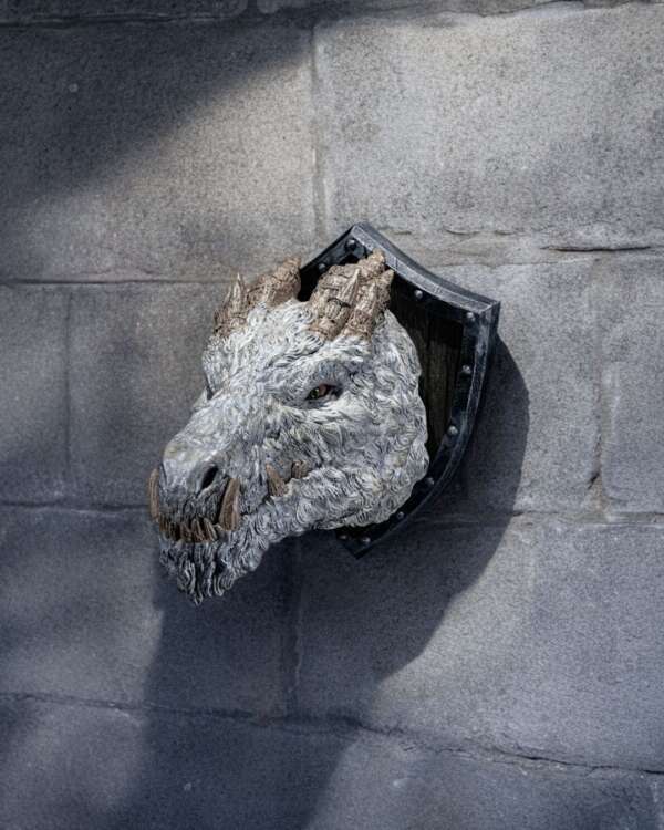 Polar Dragon Trophy - imagine 6