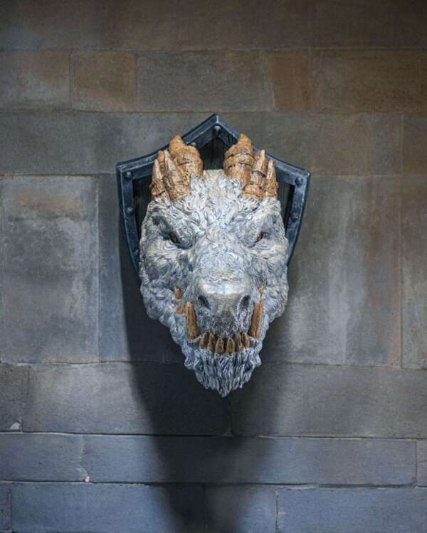 Polar Dragon Trophy - imagine 7