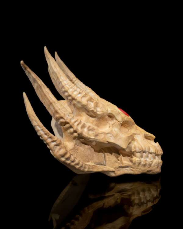 Silver Dragon Skull - imagine 6