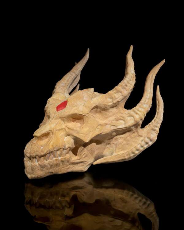 Silver Dragon Skull - imagine 9