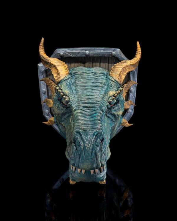 Western Dragon Trophy - imagine 2