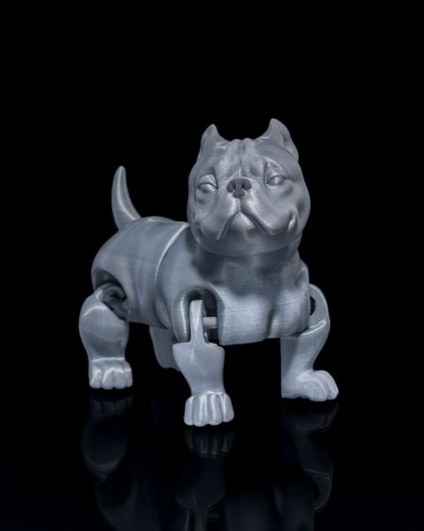 American Bully Dog - imagine 12