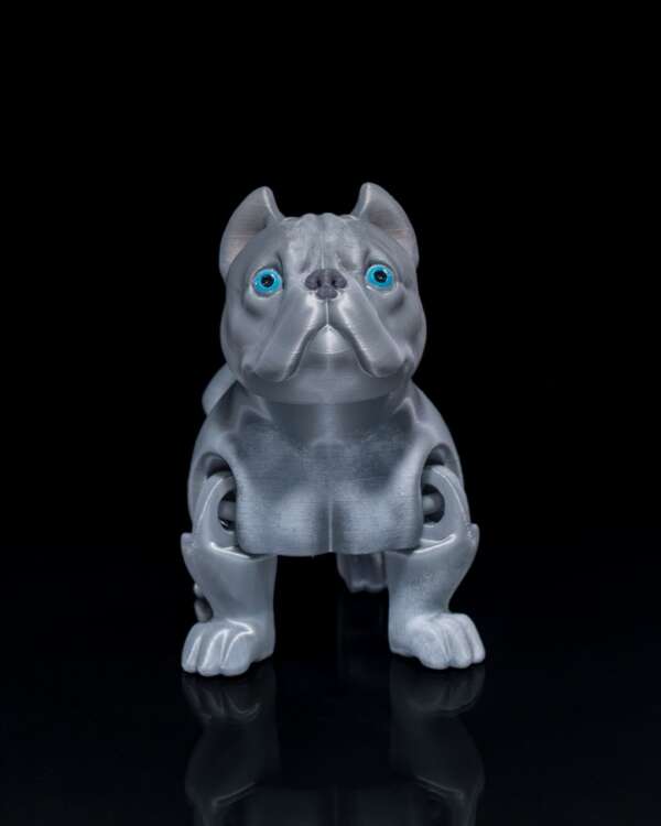 American Bully Dog - imagine 3