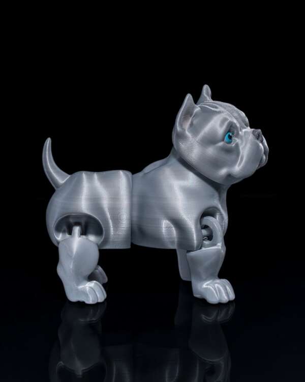 American Bully Dog - imagine 4