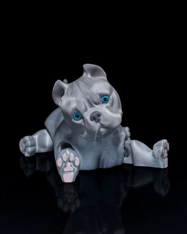 American Bully Dog - imagine 7