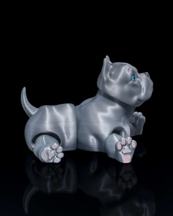 American Bully Dog - imagine 8