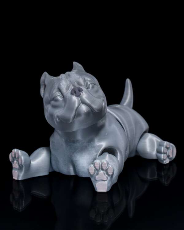 American Bully Dog - imagine 10